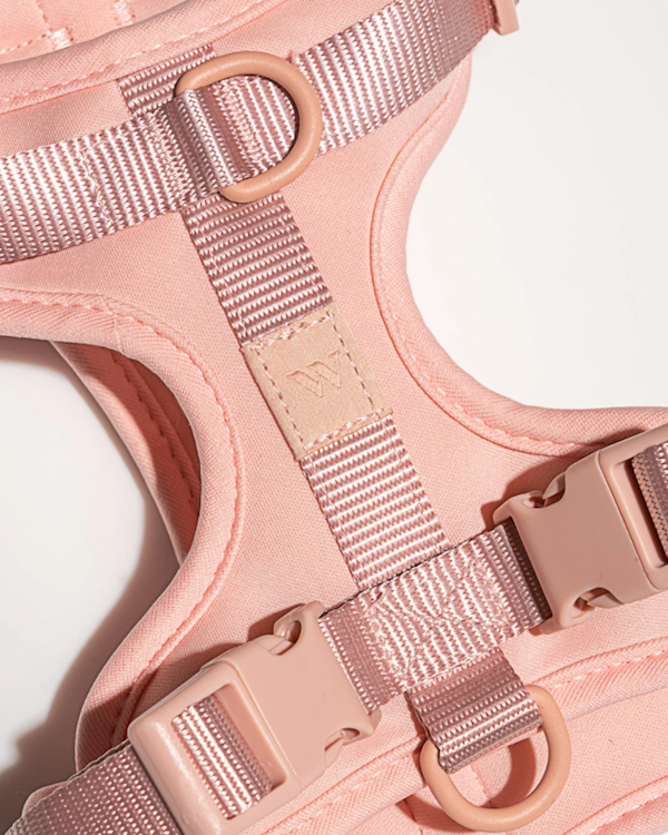 WILD ONE CUSHIONED WOVEN HARNESS BLUSH
