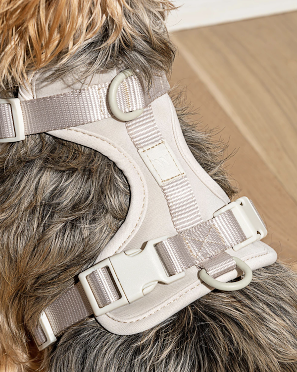 WILD ONE CUSHIONED WOVEN HARNESS LIGHT GREY