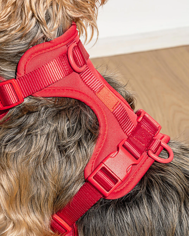 WILD ONE CUSHIONED WOVEN HARNESS RED