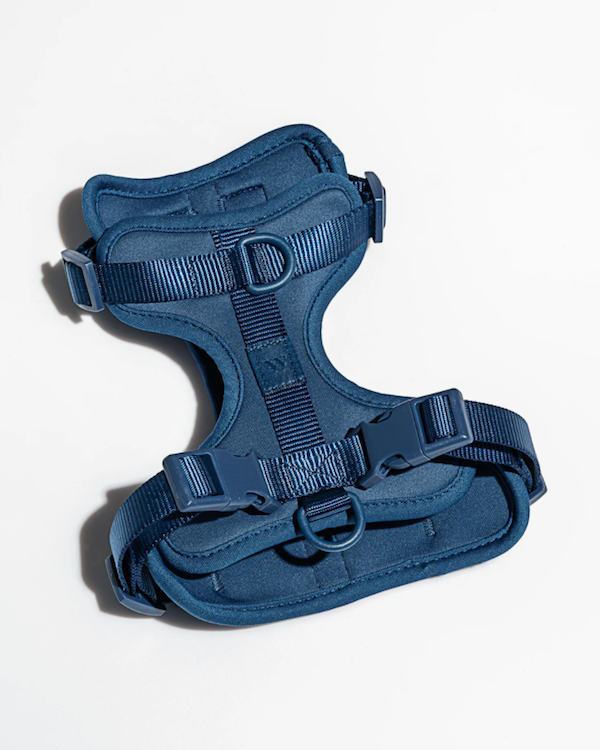 WILD ONE CUSHIONED HARNESS NAVY BLUE