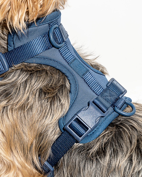 WILD ONE CUSHIONED WOVEN HARNESS NAVY BLUE