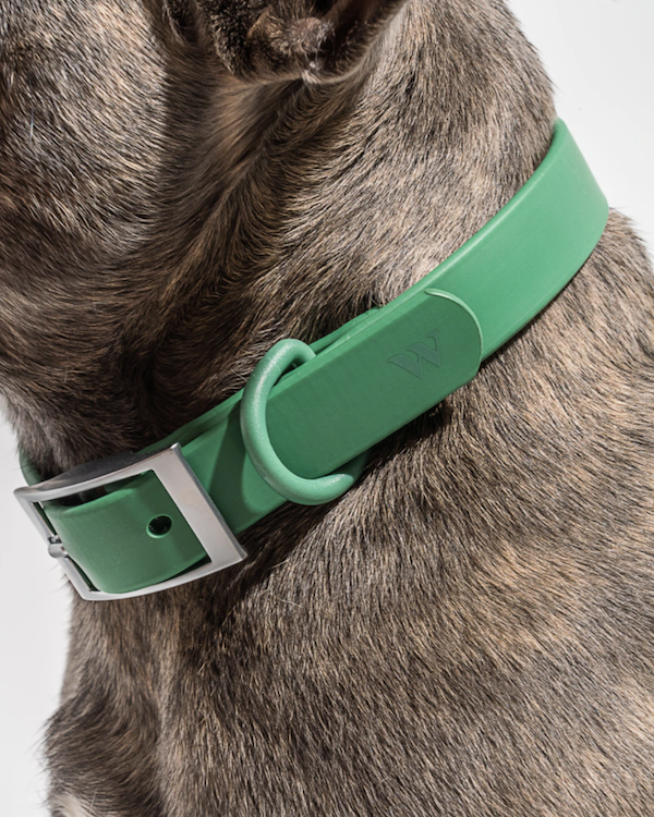wild one waterproof dog collar spruce green