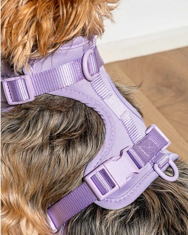 WILD ONE CUSHIONED WOVEN HARNESS LILAC