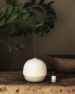 ELA LIFE ELECTRIC AROMATHERAPY DIFFUSER LAMP