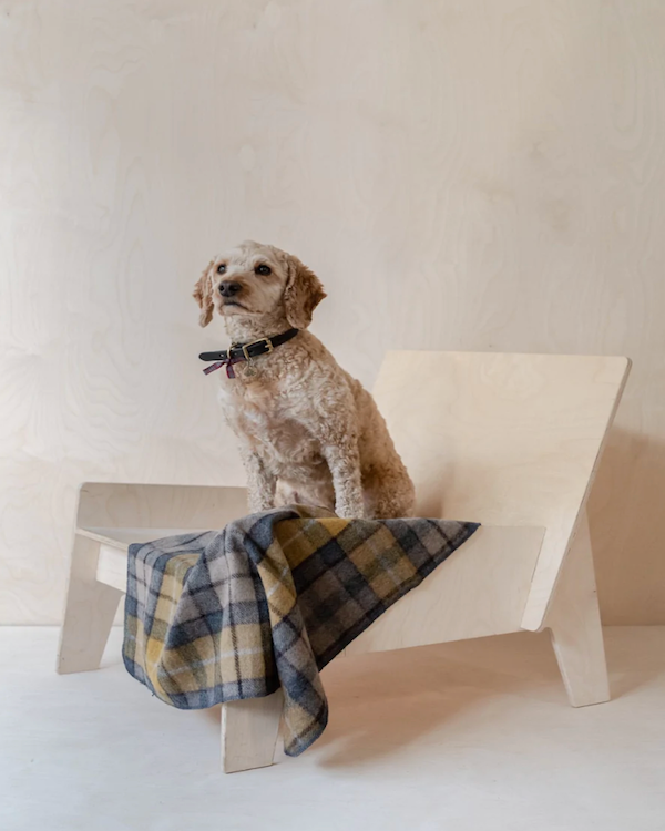 RECYCLED WOOL PET BLANKET IN BUCHANAN NATURAL TARTAN