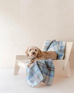 THE TARTAN BLANKET COMPANY RECYCLED WOOL PET BLANKET IN STEWART MUTED BLUE TARTAN