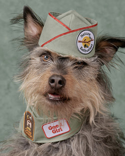 SCOUT'S HONOUR GOOD GIRL MERIT BADGE